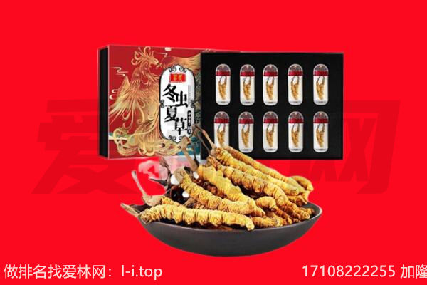 锦州北镇市回收虫草.jpg